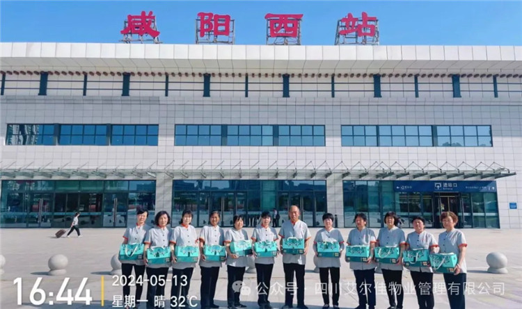 端午情長(zhǎng)，艾爾佳愿您安康！